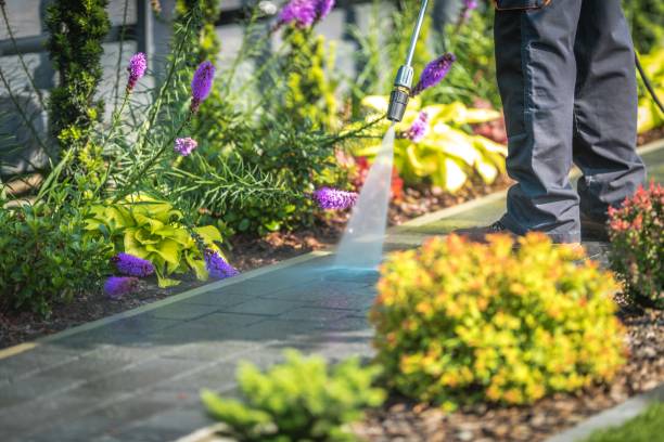 Best Driveway Pressure Washing  in Yuc Valley, CA
